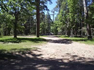 The campsites at Bear Canyon are loosely knit and primitive.