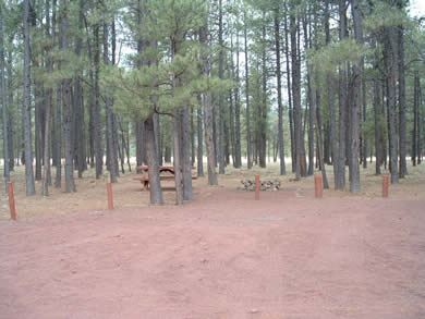 Benny Creek Campground