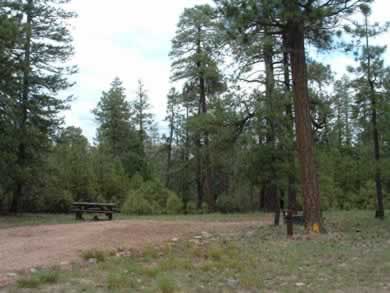 Black Canyon Rim Campground