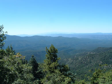 You can see from Mt. Graham all the way north to the San Fransisco Peaks from Blue Vista.