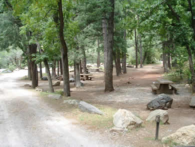 Bootlegger Campground