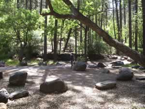 Looking uphill towards an elevated campsite.