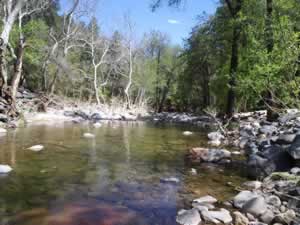 Looking downstream towards the swimming hole. Same position as the photo to the left, looking the opposite way.