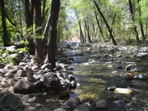 A photo looking upstream from the swimming hole.