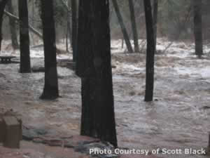 Oak Creek Flood 1