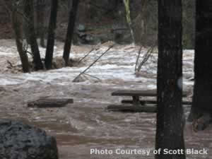 Oak Creek Flood 2