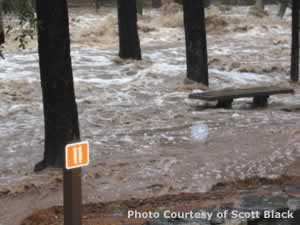 Oak Creek Flood 4