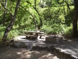 A Campsite at Manzanita Campground