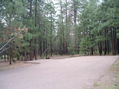 A campsite at Canyon Point