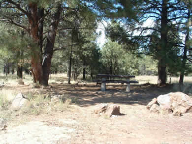 Canyon Vista Campground
