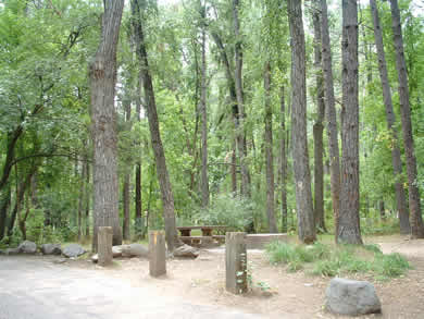 A Campsite at Cave Springs
