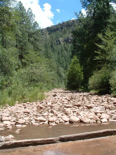 During late summer, Christopher creek runs thin.