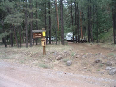 The East Fork of the Black River is just a few steps across the road from Deer Creek.