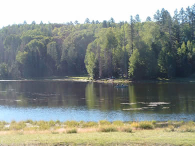 Drift Fence Lake is a hidden gem on the White Mountain Indian Reservation