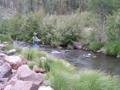Fishing on the East Fork is almost unbeatable.
