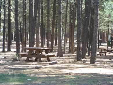 A campsite at Fort Tuthill.