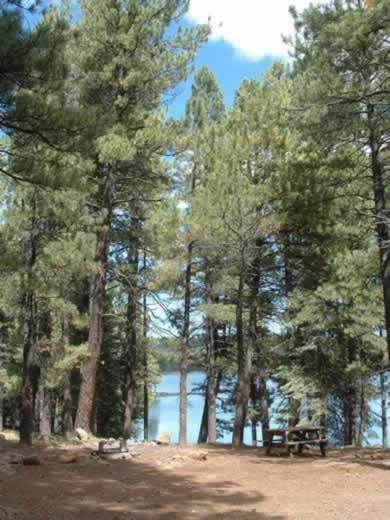 A Campsite at Hawley Lake