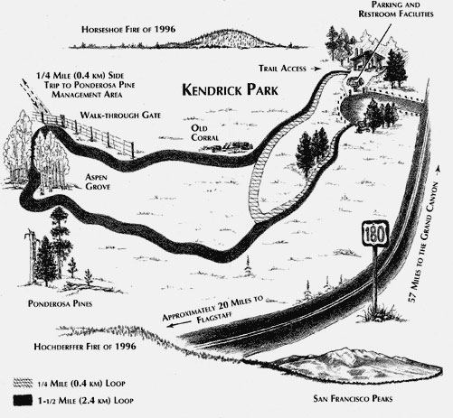 Kendrick Park Watchable Wildlife Trail