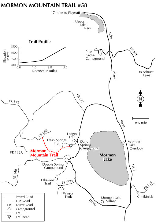 Mormon Mountain Trail #58