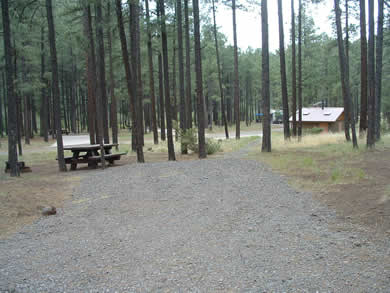 Horse Springs Campground on the East Fork of the Black River