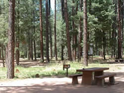 Christopher Creek Campground