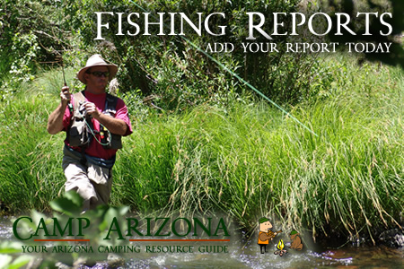 Arizona Fishing Reports