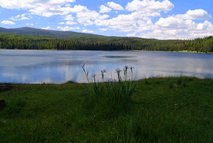 Reservation Lake