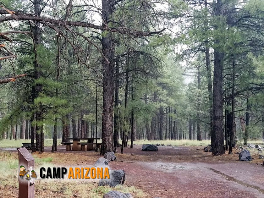 Canyon Vista Campground Campsite