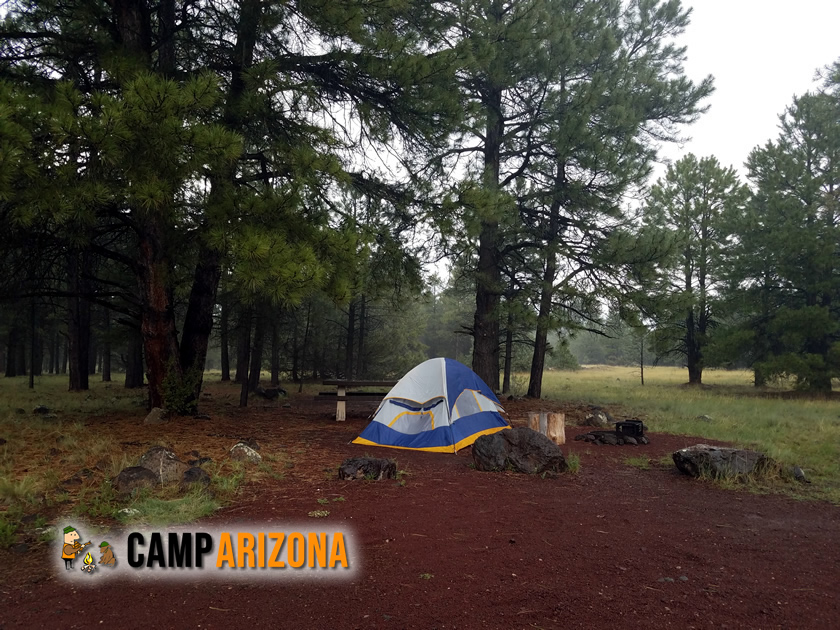 Camping at Canyon Vista Campground