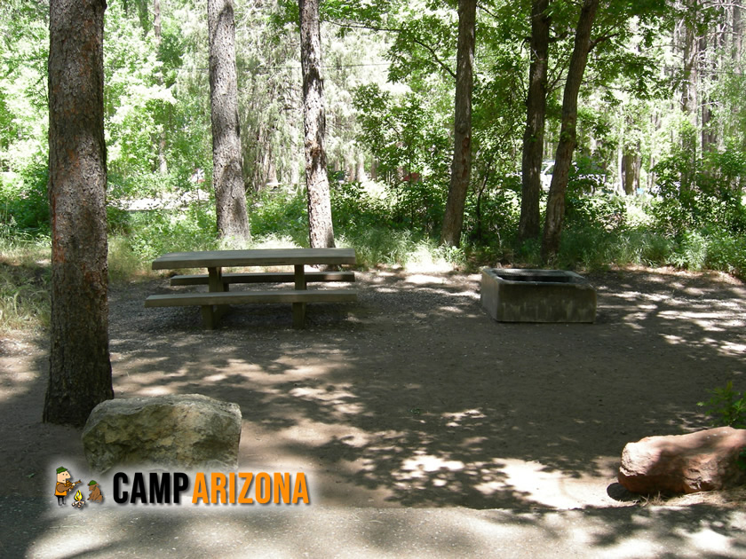 A Campsite at Cave Springs Campground