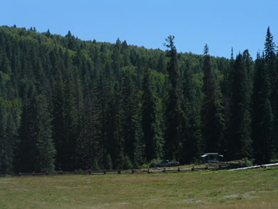 KP Cienega lies in a meadow just north of the Blue Vista (see image below).