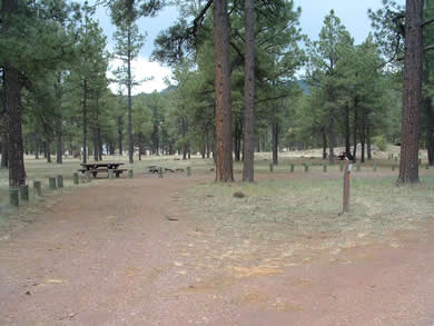The campground is within walking distance from Luna Lake.