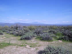 Mcdowell Mountain Regional Park