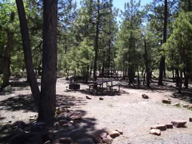 A campsite at Mogollon Campground