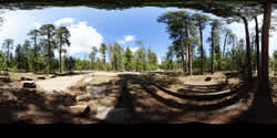Aspen Campsite 22