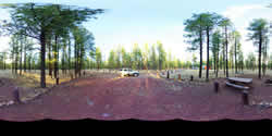 Benny Creek - Campsite #1