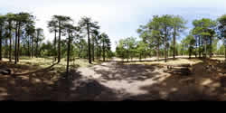 Canyon Point Campsite  51