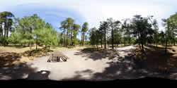 Canyon Point Campsite  58