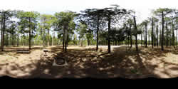 Canyon Point Campsite  3