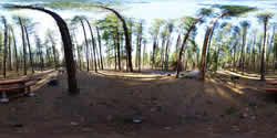 Christopher Creek Campsite 34
