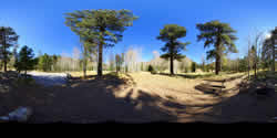 Lockett Meadow Campsite 1