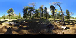 Lockett Meadow Campsite 15