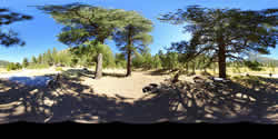 Lockett Meadow Campsite 17