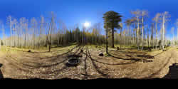 Lockett Meadow Campsite 7