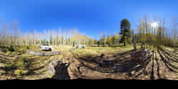 Lockett Meadow Campsite 8