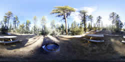 lynx Campsite 9