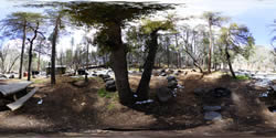 Manzanita Campsite 1