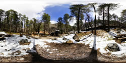 Manzanita Campsite 6