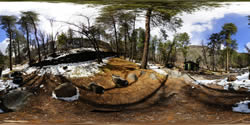 Manzanita Campsite 7