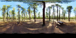 Rolfe Hoyer Campsite 61